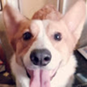 Meet your Posher, Jane